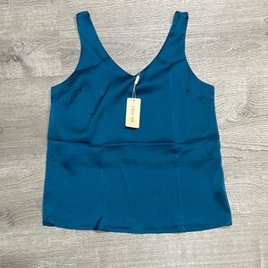 Aritzia Blue V-Neck Tank Top